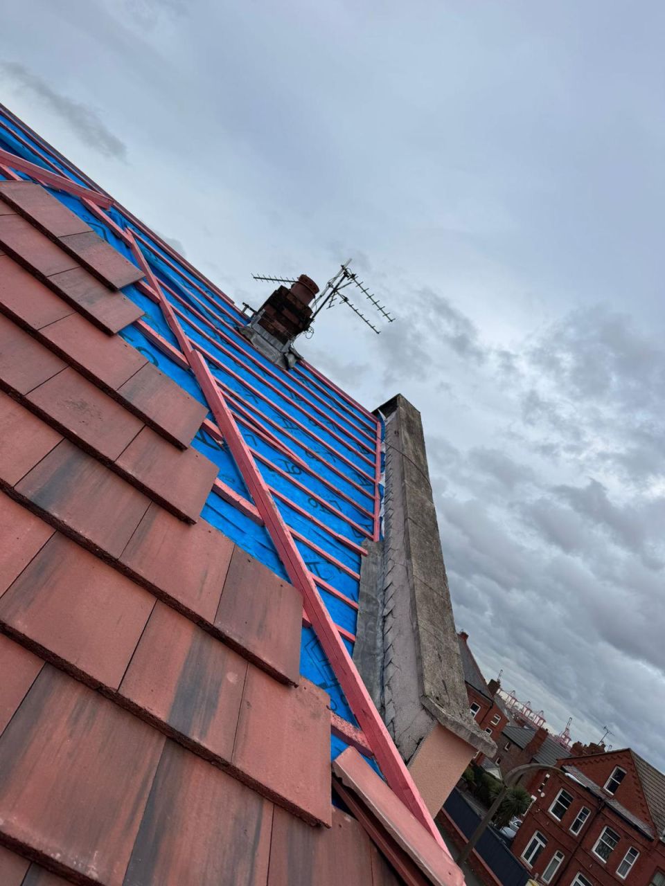 WhatsApp Image 2026-03-25 at 07.22.35 (1)