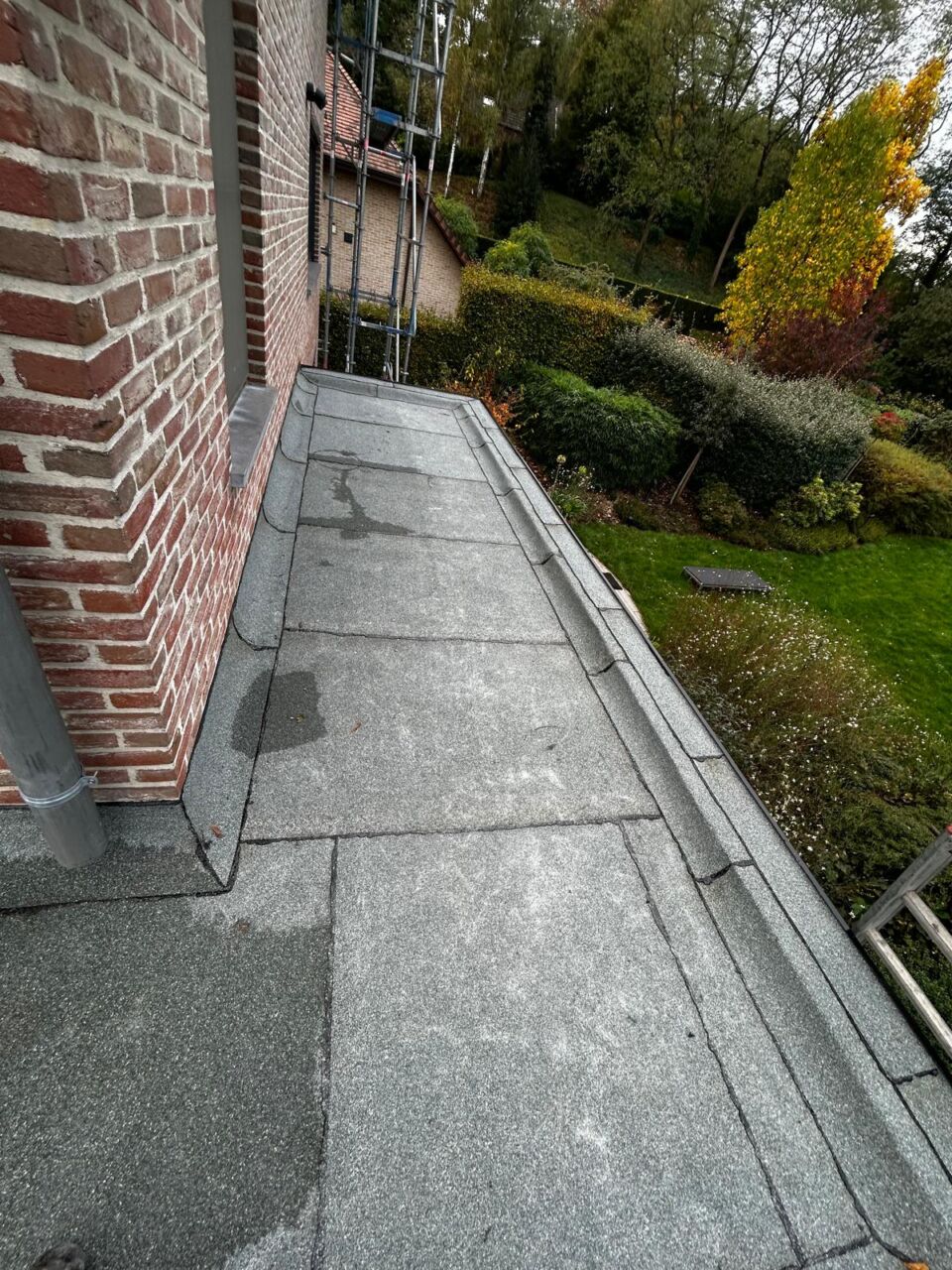 WhatsApp Image 2026-04-07 at 04.18.58 (1)