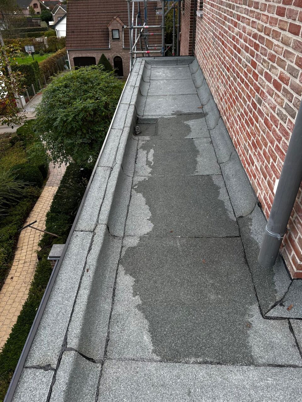 WhatsApp Image 2026-04-07 at 04.18.58 (2)