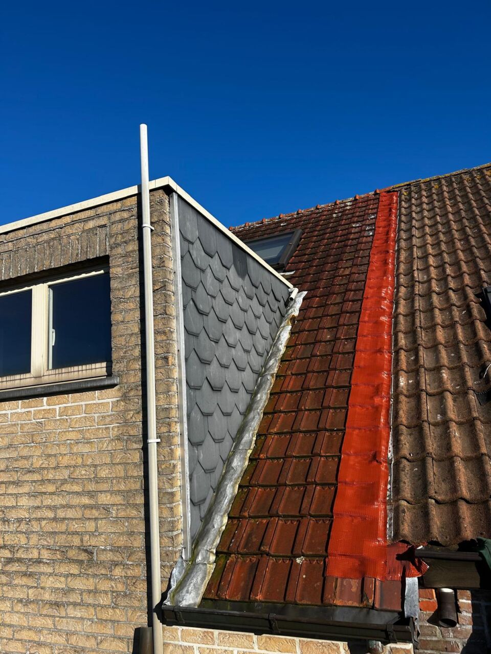 WhatsApp Image 2026-04-07 at 04.19.00 (2)